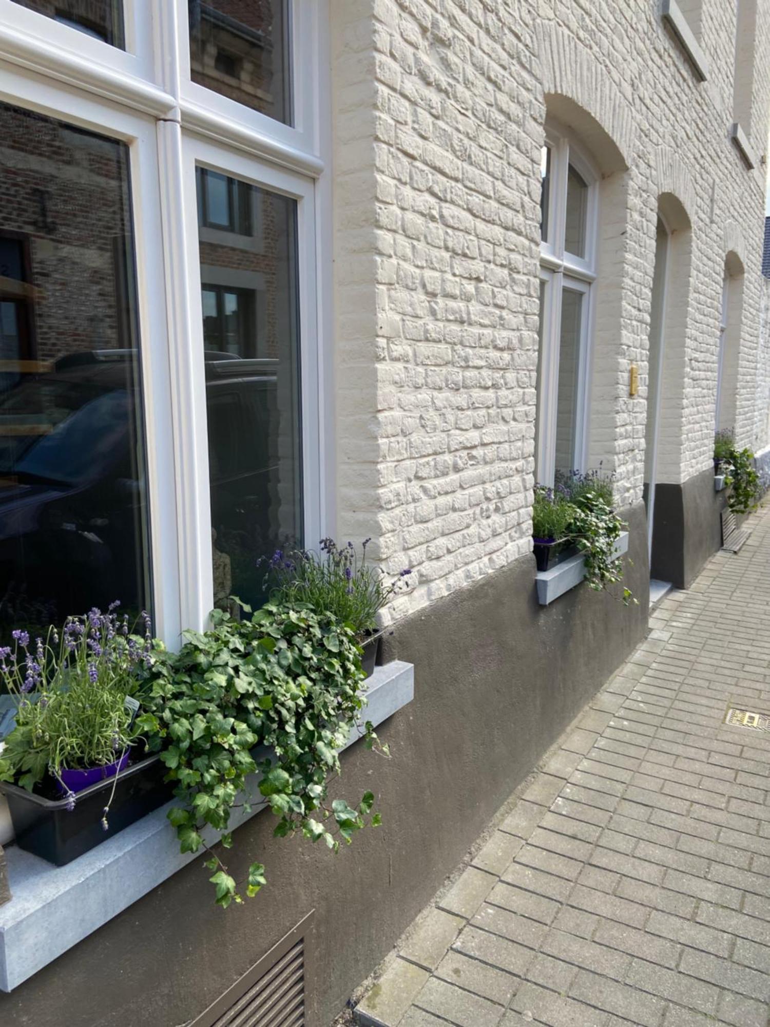 Begijnhofstudio'S Tongeren Exterior photo